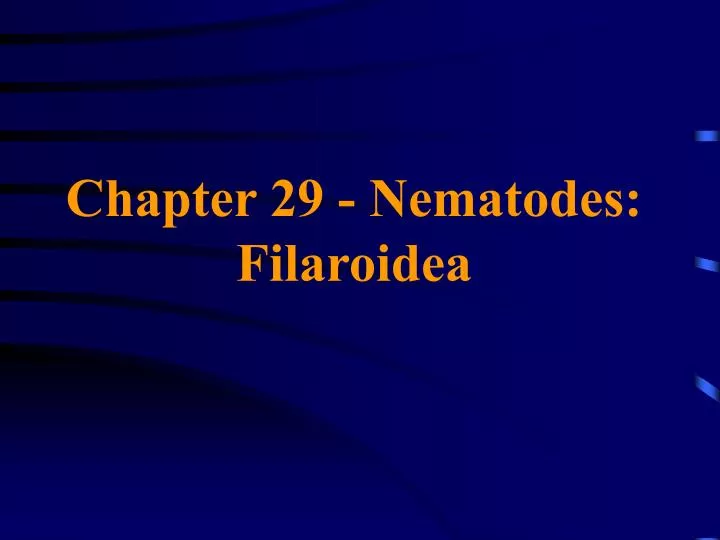 chapter 29 nematodes filaroidea