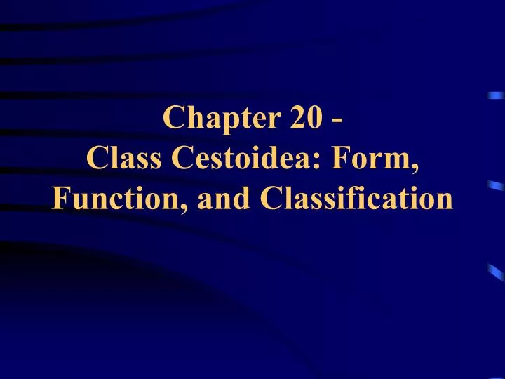 chapter 20 class cestoidea form function and classification