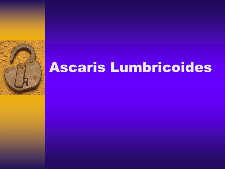 ascaris lumbricoides