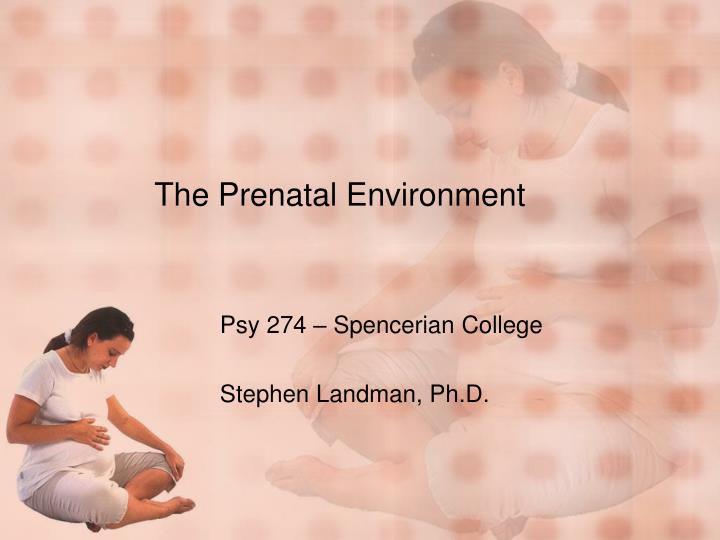 the prenatal environment