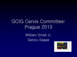 GCIG Cervix Committee: Prague 2010