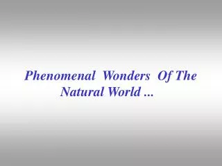 Phenomenal  Wonders  Of The Natural World ...
