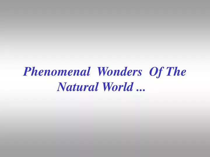 phenomenal wonders of the natural world