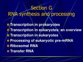 Section G RNA synthesis and processing