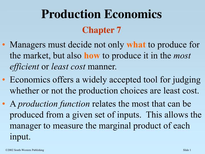 production economics chapter 7