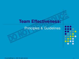 Team Effectiveness: