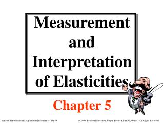 Measurement and Interpretation of Elasticities