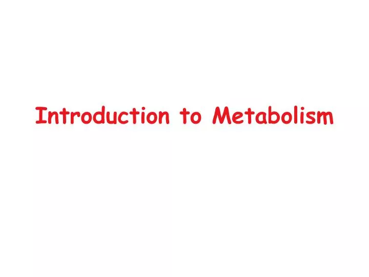 introduction to metabolism