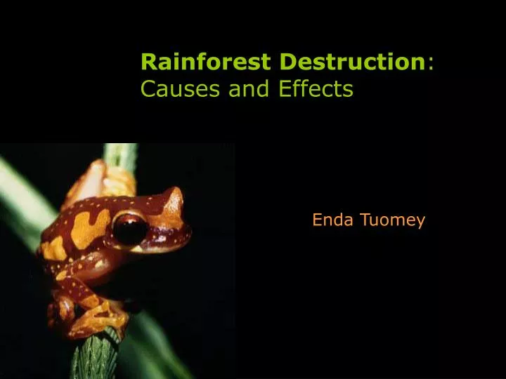 rainforest destruction causes and effects