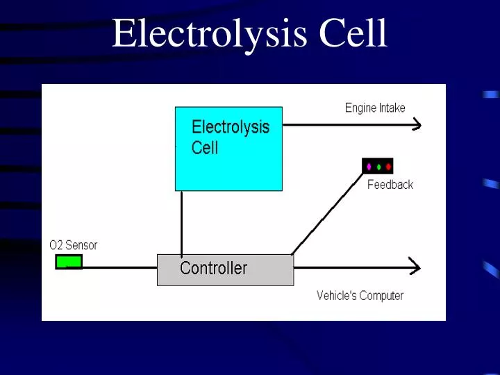 electrolysis cell