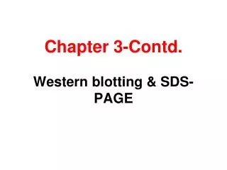 Chapter 3-Contd. Western blotting &amp; SDS-PAGE