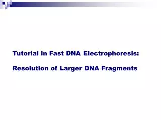 Tutorial in Fast DNA Electrophoresis: Resolution of Larger DNA Fragments