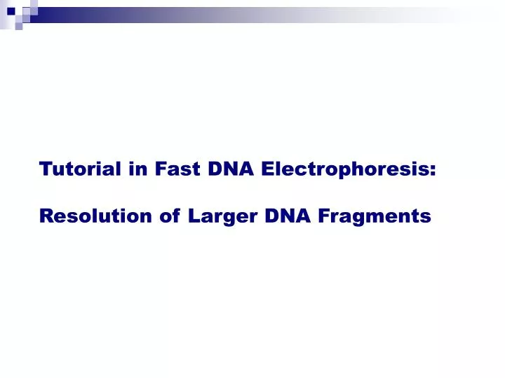 tutorial in fast dna electrophoresis resolution of larger dna fragments