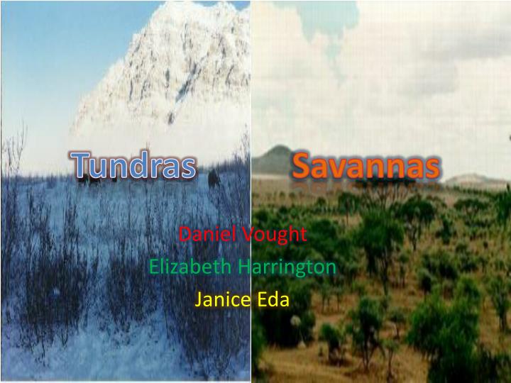 tundras savannas