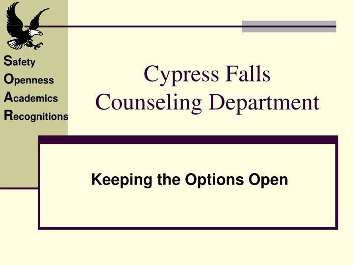 cypress falls counseling department