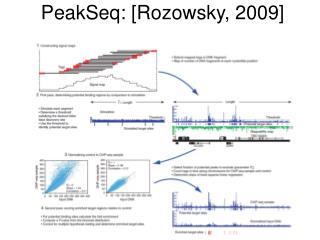 peakseq rozowsky 2009