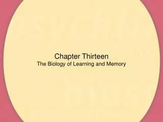 Chapter Thirteen The Biology of Learning and Memory