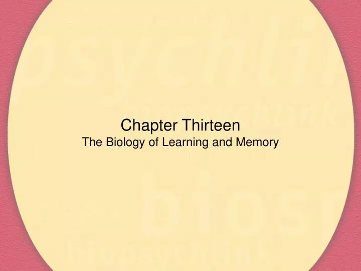 chapter thirteen the biology of learning and memory