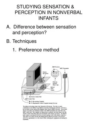 STUDYING SENSATION &amp; PERCEPTION IN NONVERBAL INFANTS A. Difference between sensation and perception? Techniques Pre