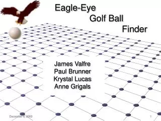 Eagle-Eye Golf Ball Finder