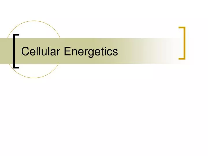 cellular energetics