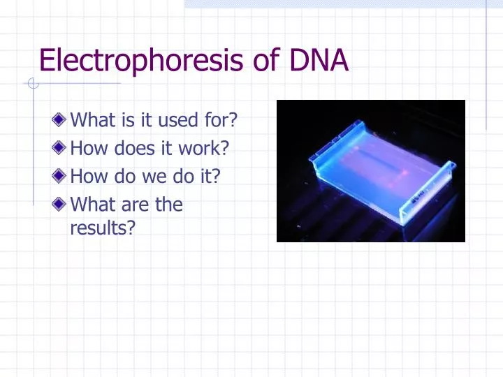 electrophoresis of dna