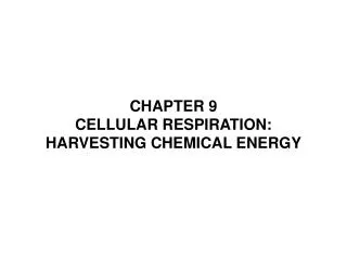 CHAPTER 9 CELLULAR RESPIRATION: HARVESTING CHEMICAL ENERGY