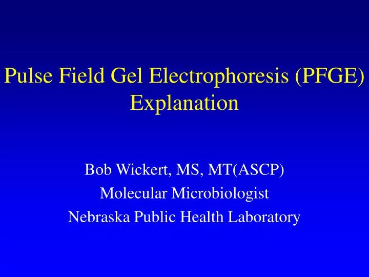 pulse field gel electrophoresis pfge explanation