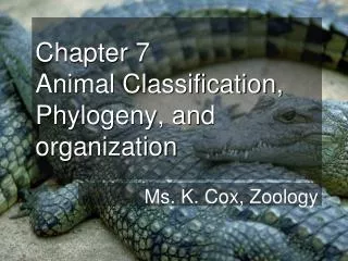 Chapter 7 Animal Classification, Phylogeny, and organization