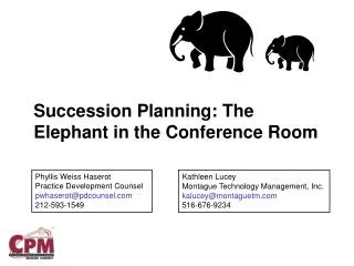 Succession Planning: The Elephant in the Conference Room