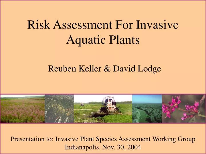 risk assessment for invasive aquatic plants