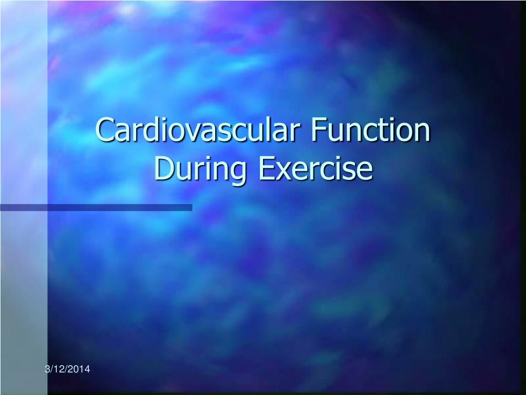 PPT - Cardiovascular Function During Exercise PowerPoint Presentation ...