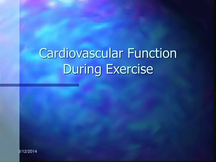 cardiovascular function during exercise