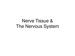 Nerve Tissue &amp; The Nervous System
