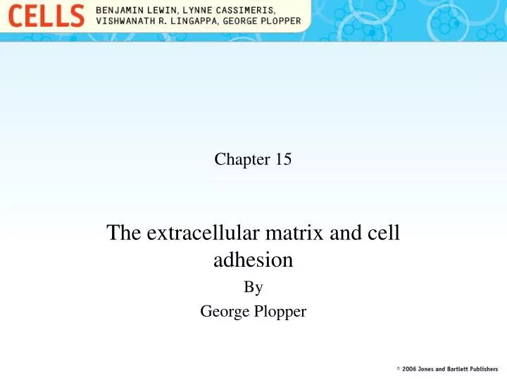 Chapter 10. Cell and Tissue Architecture: Cytoskeleton, Cell Junctions, and  Extracellular Matrix