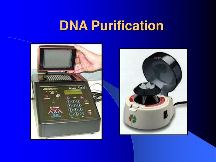 dna purification
