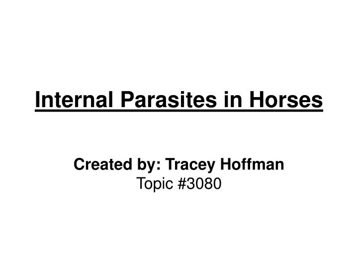internal parasites in horses