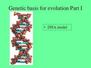 Genetic basis for evolution Part I