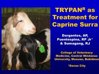 TRYPAN R as Treatment for Caprine Surra