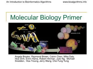 Molecular Biology Primer