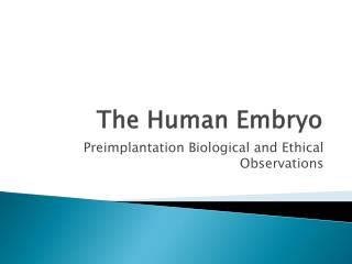 The Human Embryo