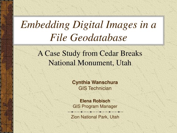 embedding digital images in a file geodatabase
