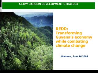 REDD: Transforming Guyana’s economy while combating climate change