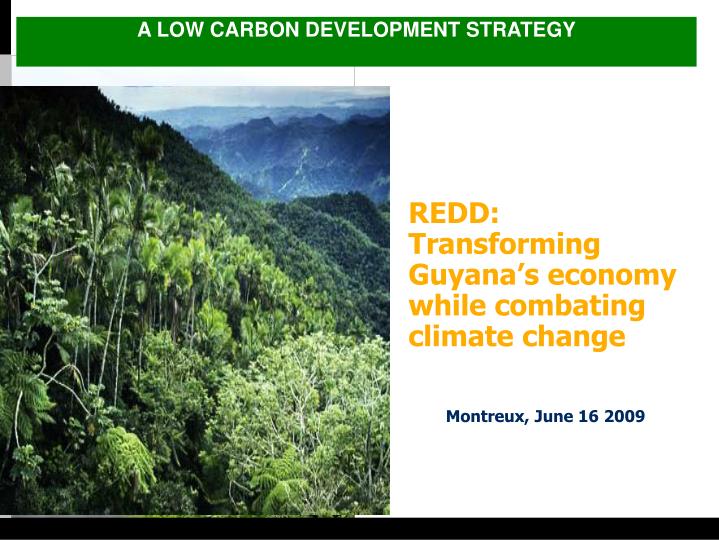redd transforming guyana s economy while combating climate change