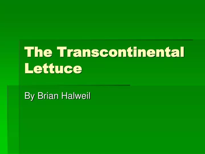 the transcontinental lettuce