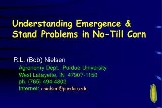 Understanding Emergence &amp; Stand Problems in No-Till Corn