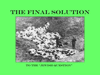 the final solution