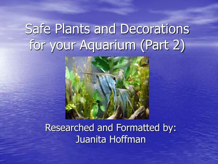 safe plants and decorations for your aquarium part 2