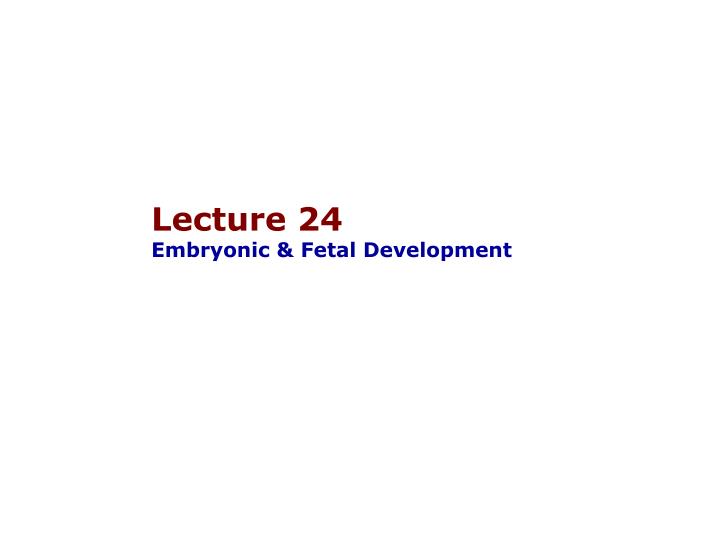 lecture 24 embryonic fetal development
