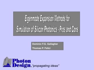 Eigenmode Expansion Methods for Simulation of Silicon Photonics - Pros and Cons